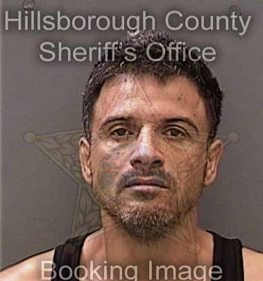 Joel Alonso-Gonzalez, - Hillsborough County, FL 