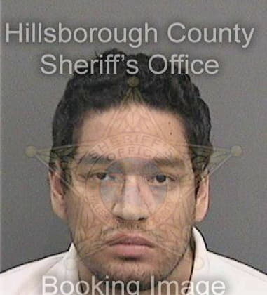 Edwin Barbosamillan, - Hillsborough County, FL 