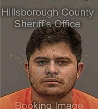 Gabriel Barnes, - Hillsborough County, FL 