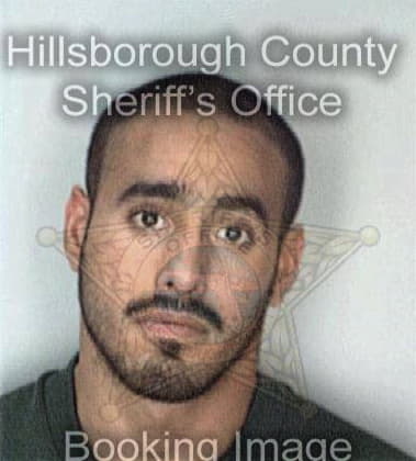 Elizar Pizano, - Hillsborough County, FL 