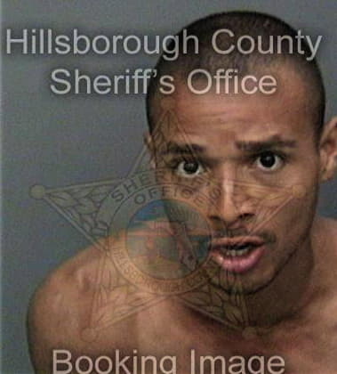 Alin Popovici, - Hillsborough County, FL 