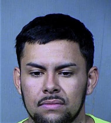 Novel Ward - Maricopa County, AZ 
