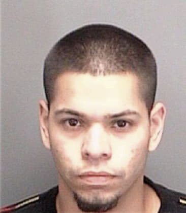 Juan Bernalcano, - Pinellas County, FL 