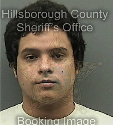 Steven Burgess, - Hillsborough County, FL 