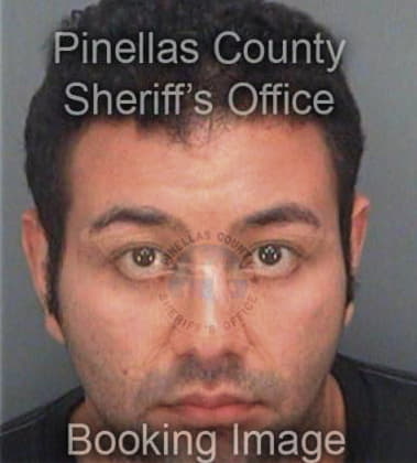 Christopher Dixon, - Pinellas County, FL 