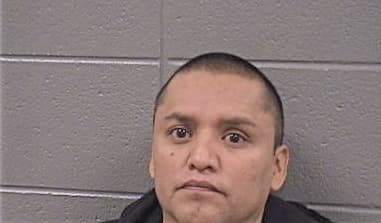 Diego Fausto-Lopez, - Cook County, IL 