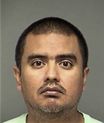 Luis Lugo-Pellatti, - Denton County, TX 