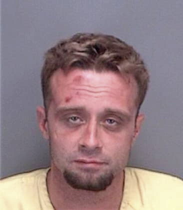 Daniel Mays - Pinellas County, FL 