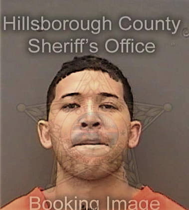 Shawn Smith, - Hillsborough County, FL 