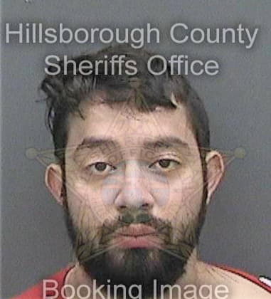 Ryan Thibodeaux, - Hillsborough County, FL 