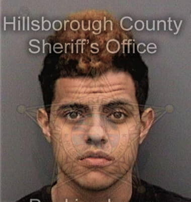 Jason Turk, - Hillsborough County, FL 