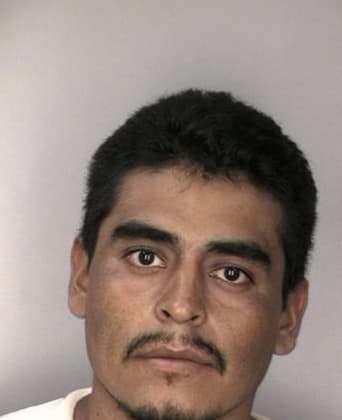 Mark Brents - Hillsborough County, FL 