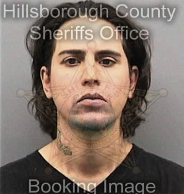 Anthony Burkett, - Hillsborough County, FL 