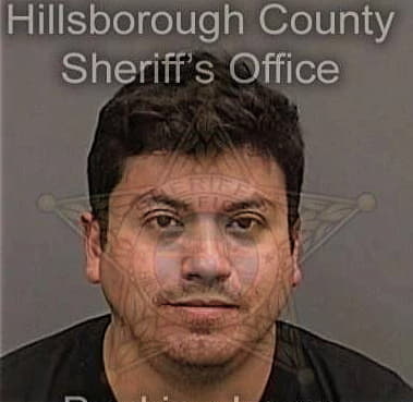 Harlan Caulkins, - Hillsborough County, FL 