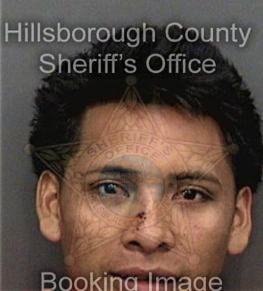 Daniel Falcon, - Hillsborough County, FL 