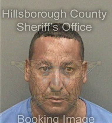 Nestor Floresrodriguez, - Hillsborough County, FL 