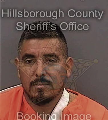 Antonio Gutierrezbaez, - Hillsborough County, FL 