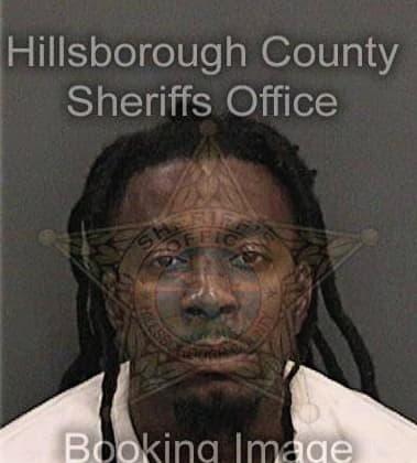 Lorenzo Little, - Hillsborough County, FL 