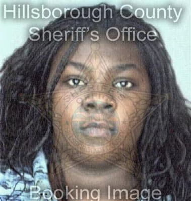 Lisa Mitchell - Hillsborough County, FL 