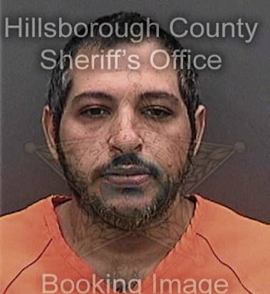 Vinquel Navedo, - Hillsborough County, FL 