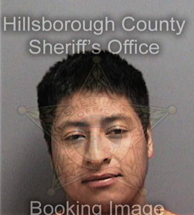 Shawn Perry, - Hillsborough County, FL 