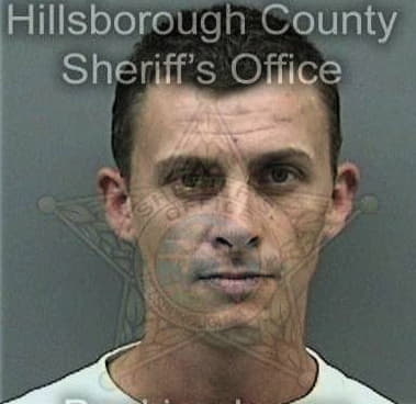 Curtis Polston, - Hillsborough County, FL 