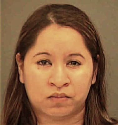 Lluvysel Sanchez-Figueroa, - Mecklenburg County, NC 