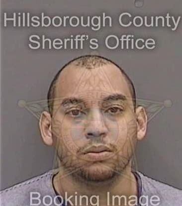 Martin Twiggs, - Hillsborough County, FL 