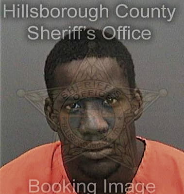 Jimonte Ashley, - Hillsborough County, FL 