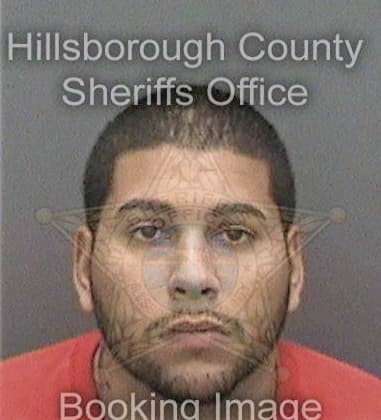 Angel Mercadd - Hillsborough County, FL 