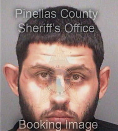 Phillip Ours, - Pinellas County, FL 