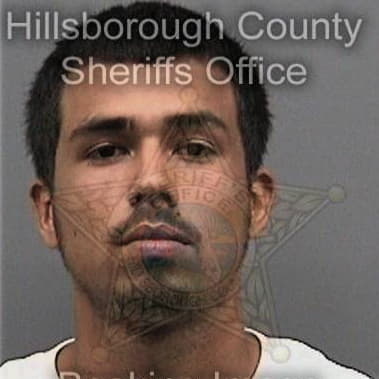 Raul Reyes, - Hillsborough County, FL 