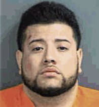 Fidel Delgado, - Collier County, FL 