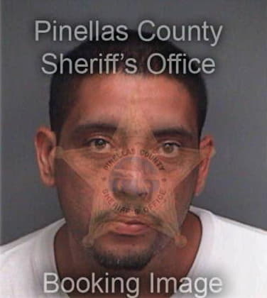 Ruben Juarezcollado, - Pinellas County, FL 