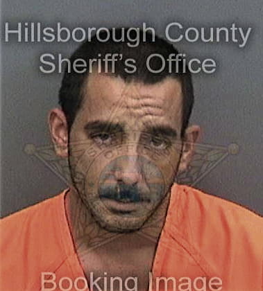 David Neiswonger, - Hillsborough County, FL 