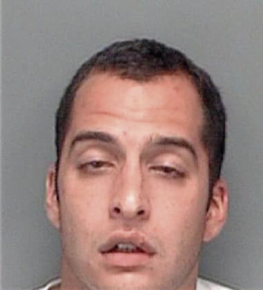 Francisco Perez-Gonzales, - Pinellas County, FL 