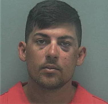 Fernando Sanchez-Ortiz, - Lee County, FL 