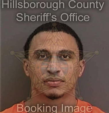 Dayron Tagleguevara - Hillsborough County, FL 