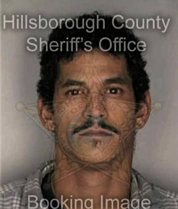 John Acevedolopez, - Hillsborough County, FL 