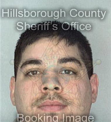 Michael Asad, - Hillsborough County, FL 