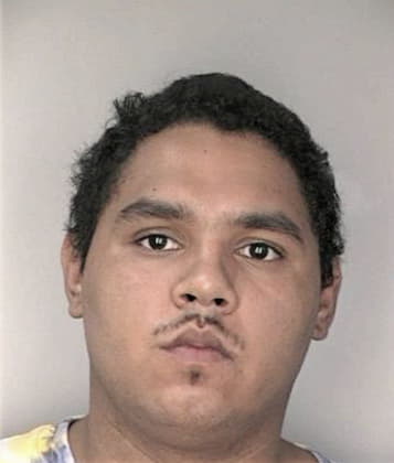 Edgar Garcia, - Hillsborough County, FL 