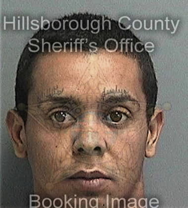 Daniel Jelic, - Hillsborough County, FL 