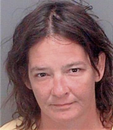 Lisa McAbee - Pinellas County, FL 