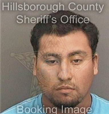 Luis Salguerojuarez, - Hillsborough County, FL 