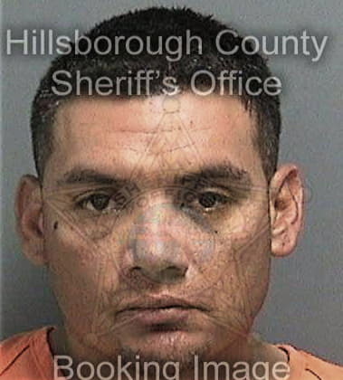 Simon Sandoval, - Hillsborough County, FL 