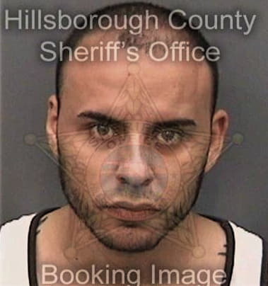 Martin Torres, - Hillsborough County, FL 