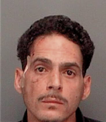 Abel Zapata, - Pinellas County, FL 