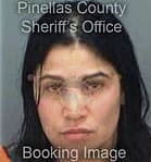 Lizbell Alicea, - Pinellas County, FL 