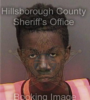 Marvin Hubbad, - Hillsborough County, FL 