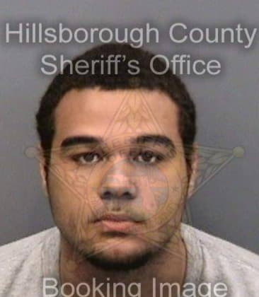 Erick Hudson, - Hillsborough County, FL 